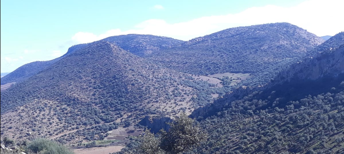 wild hunting in morocco